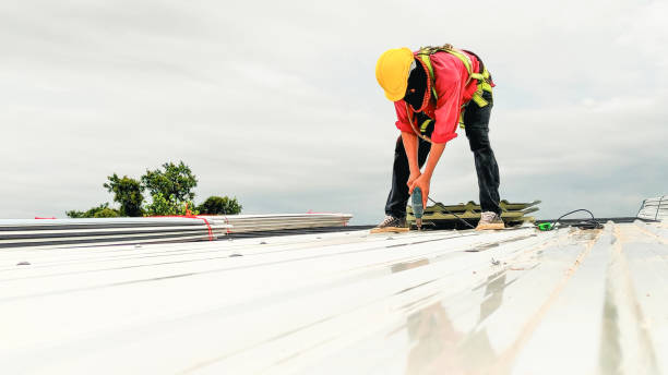 Reliable Mcminnville, TN Roof Repair & Installaion Solutions